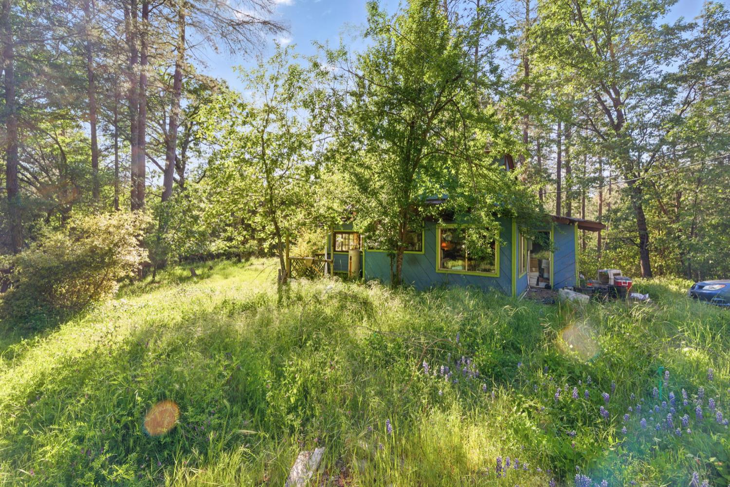 Fiddletown Road, Fiddletown, California image 32