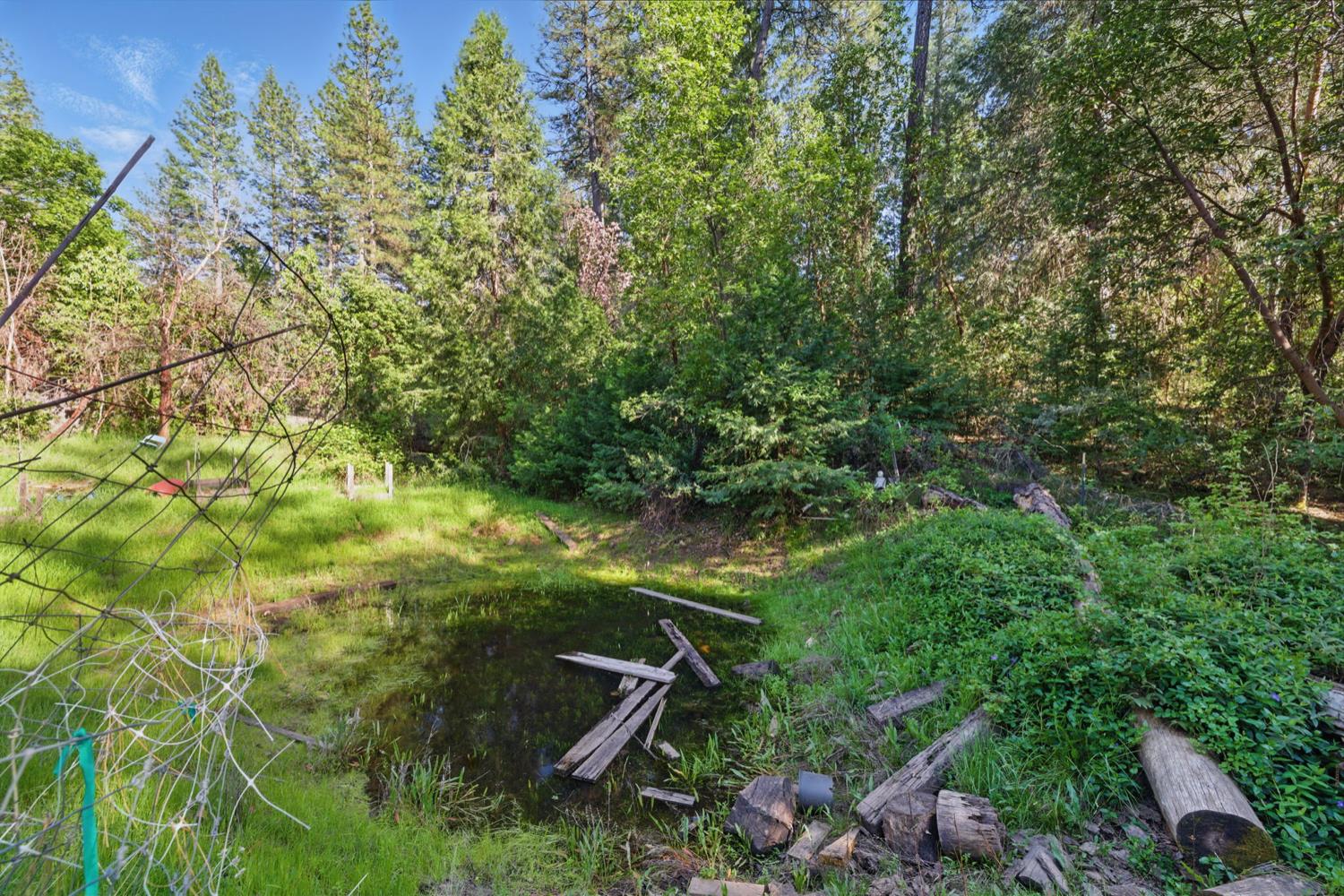 Fiddletown Road, Fiddletown, California image 30