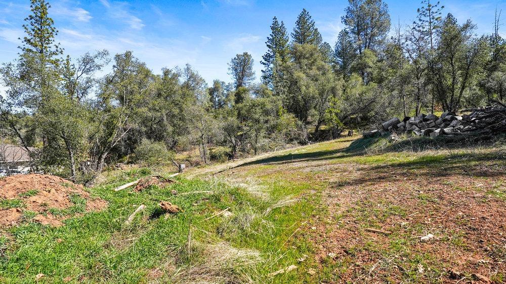 Tuolumne Road, Tuolumne, California image 12