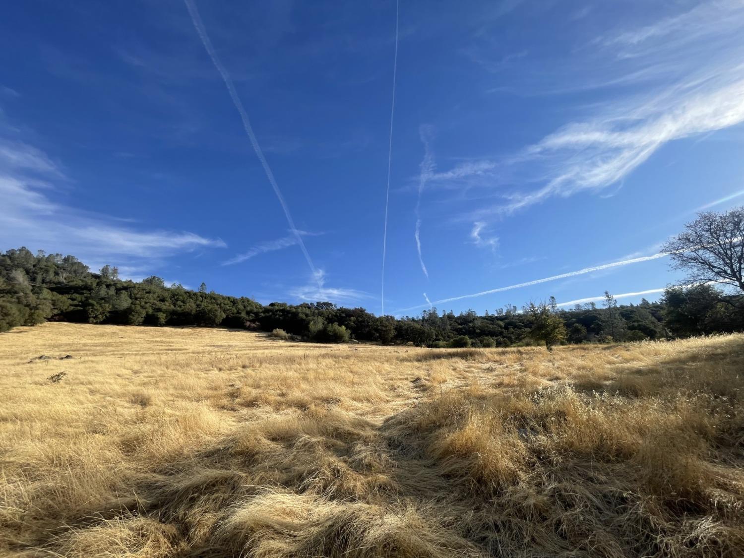 Pleasant Valley Road, North San Juan, California image 7