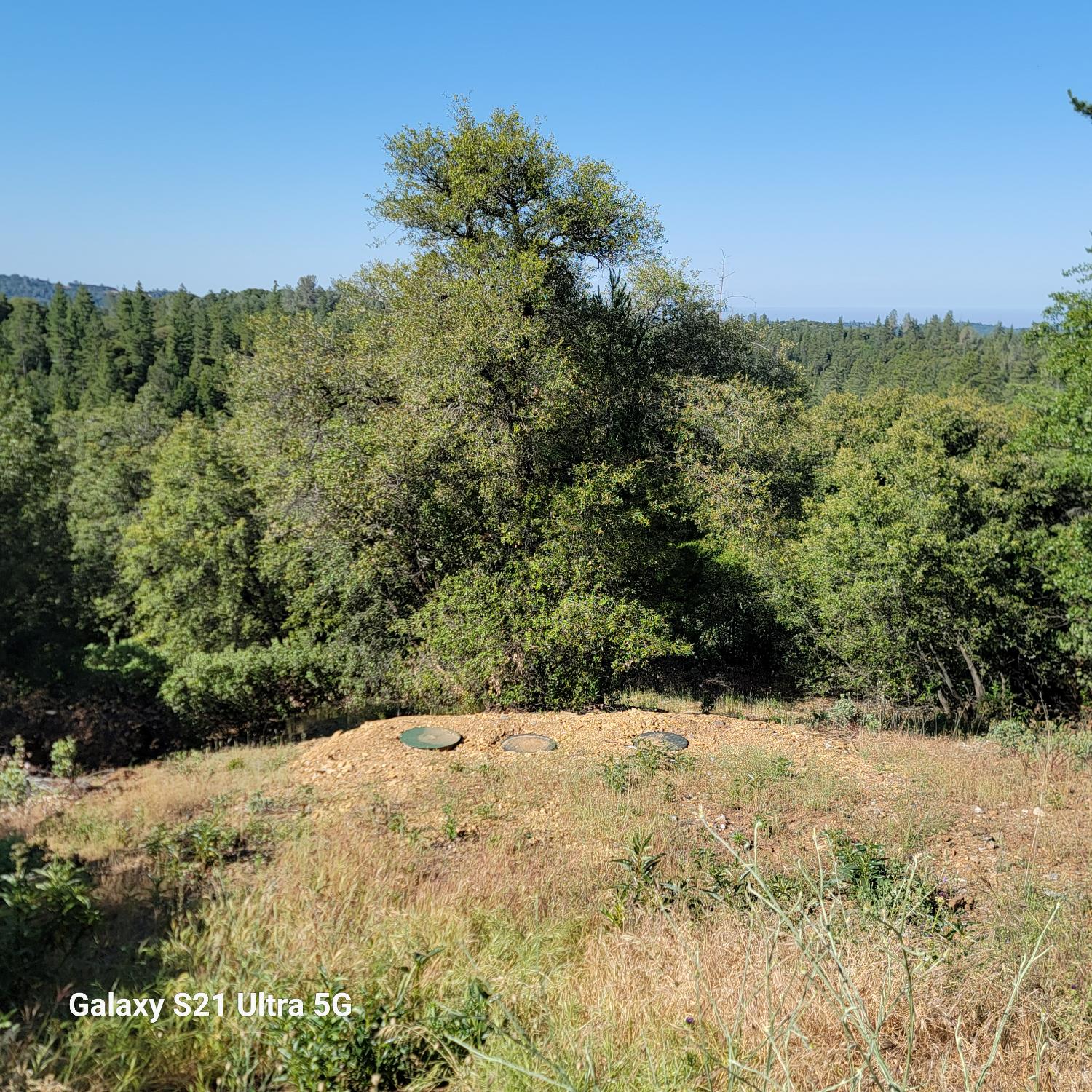Wildlife Trail, Fiddletown, California image 12