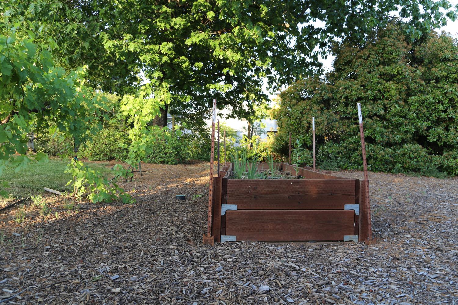 Detail Gallery Image 63 of 78 For 2300 Larsen Dr, Camino,  CA 95709 - 4 Beds | 2 Baths