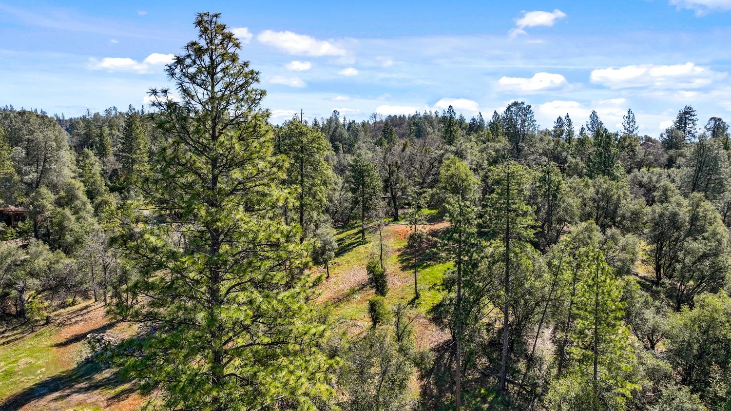 Tuolumne Road, Tuolumne, California image 27