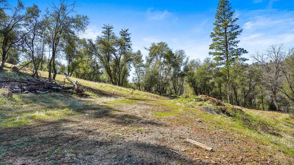 Tuolumne Road, Tuolumne, California image 13
