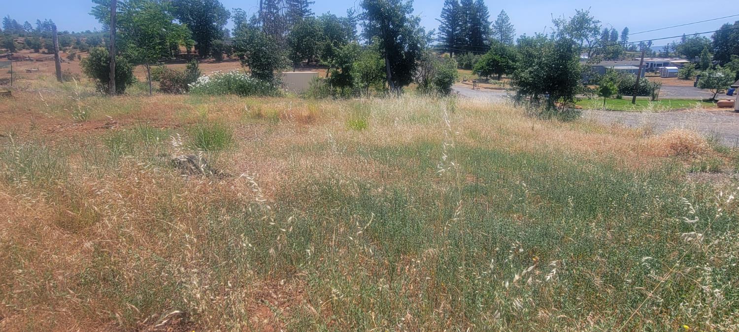 Bennett Road, Paradise, California image 5