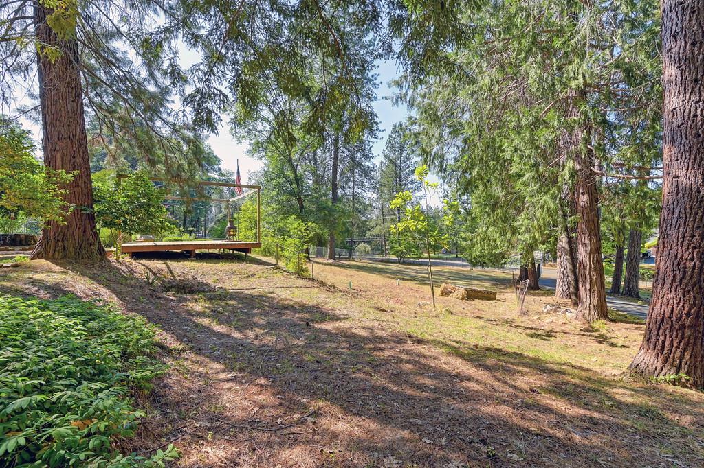 Meadow Vista Road, Meadow Vista, California image 11