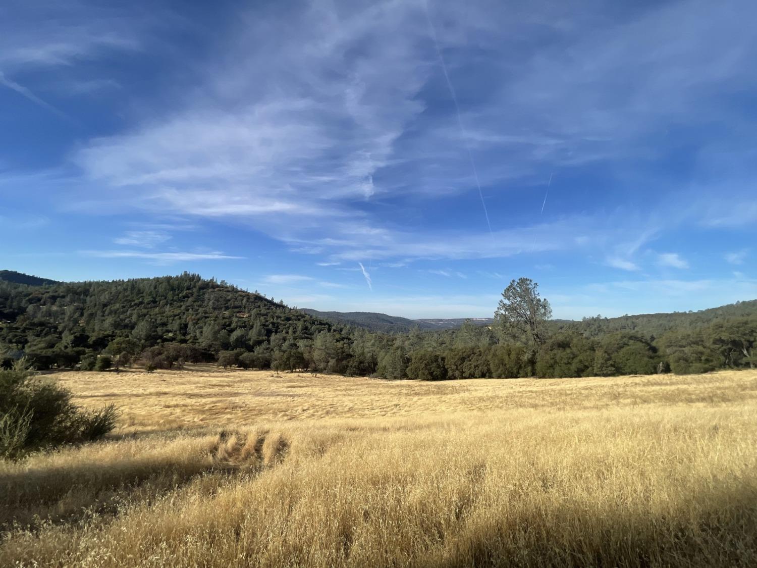 Pleasant Valley Road, North San Juan, California image 10