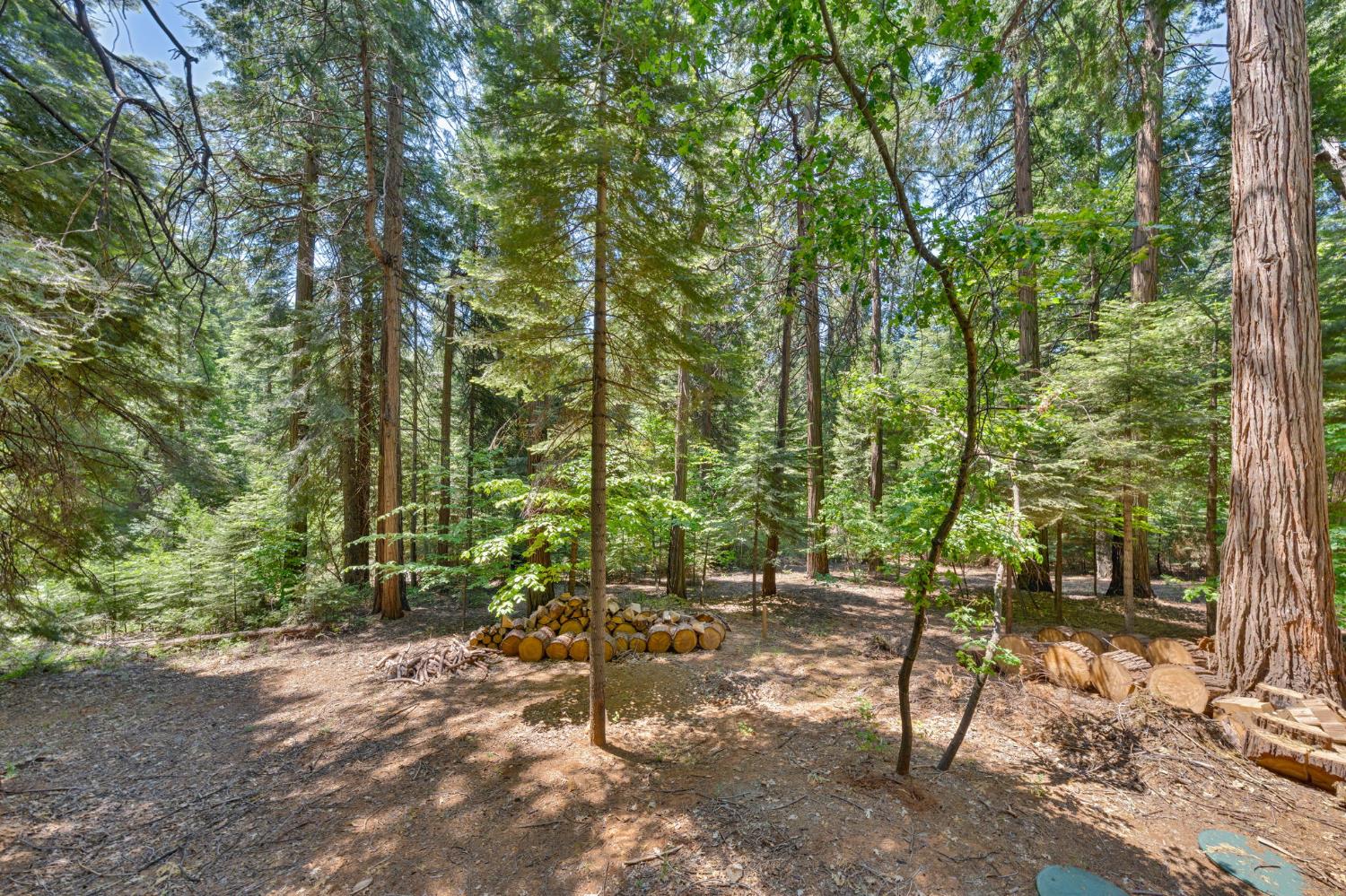 Sly Park Road, Pollock Pines, California image 34