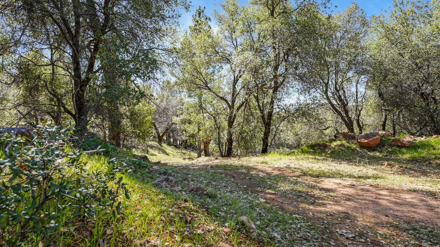 Tuolumne Road, Tuolumne, California image 16