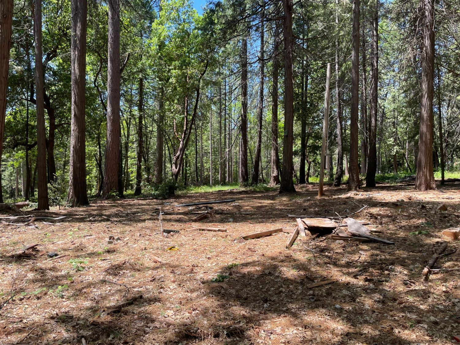 Buckeye Drive, Forbestown, California image 1