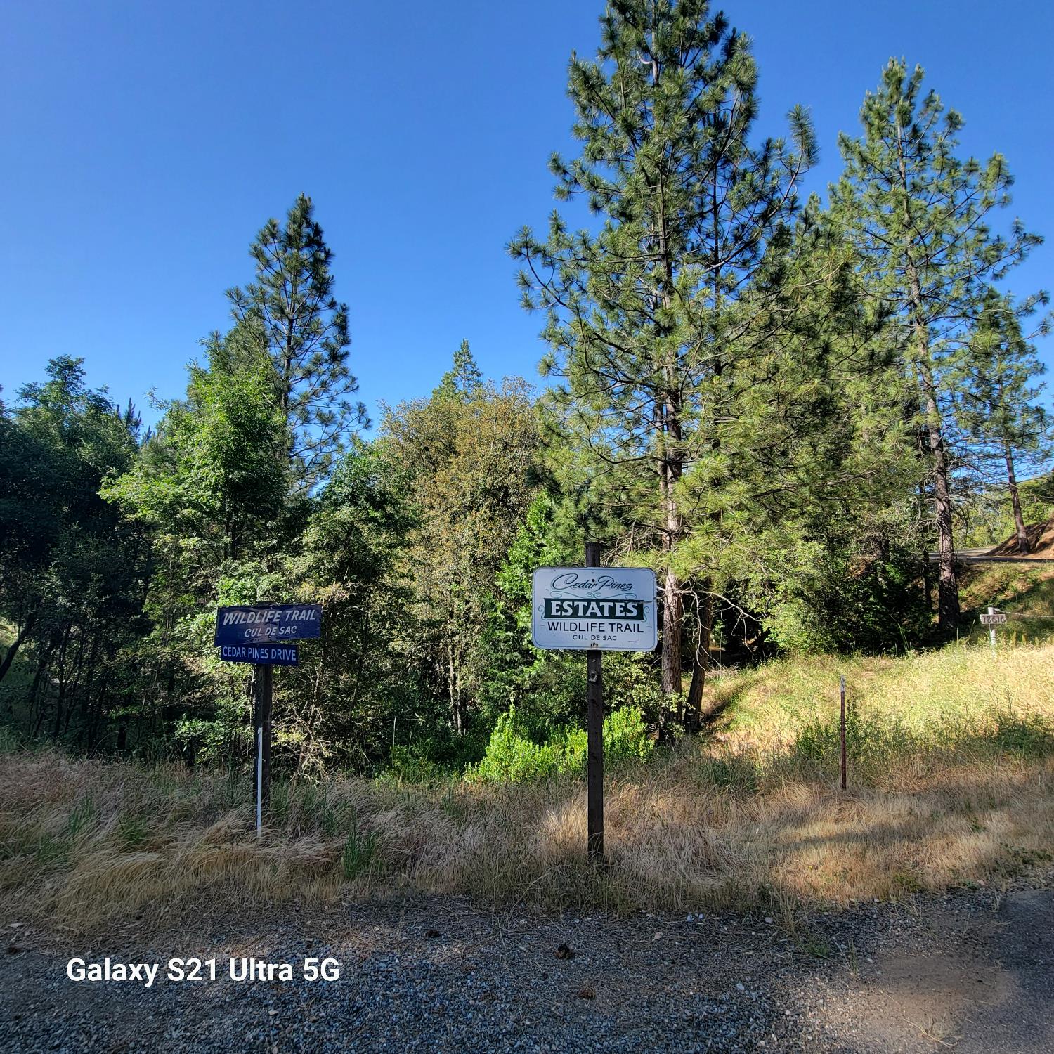 Wildlife Trail, Fiddletown, California image 1