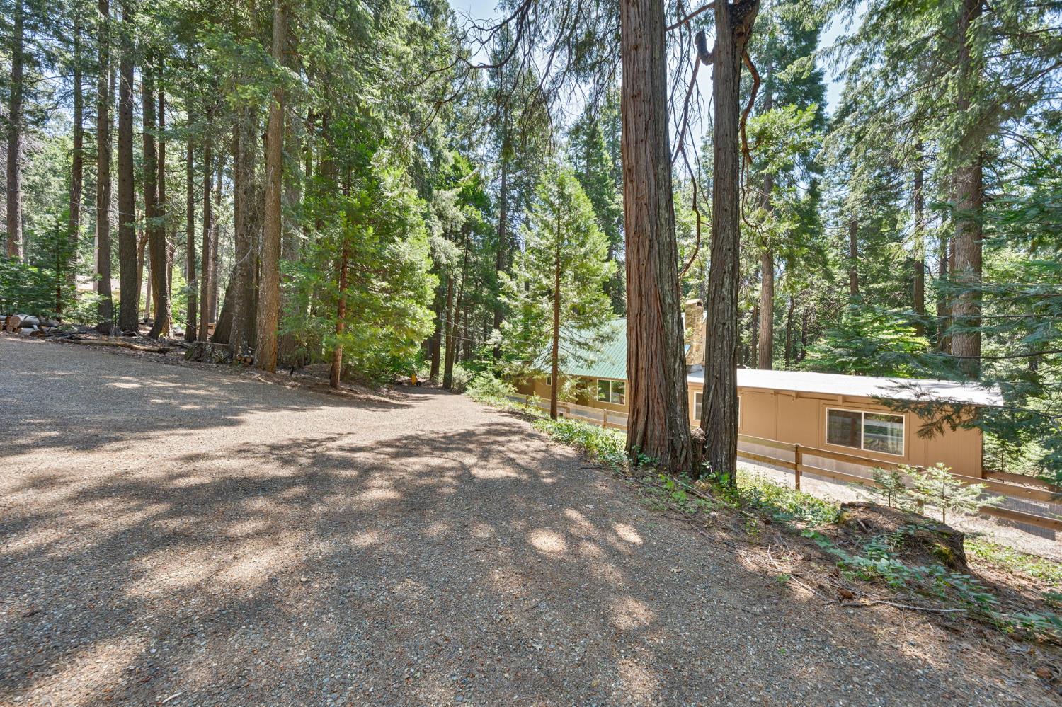 Sly Park Road, Pollock Pines, California image 4
