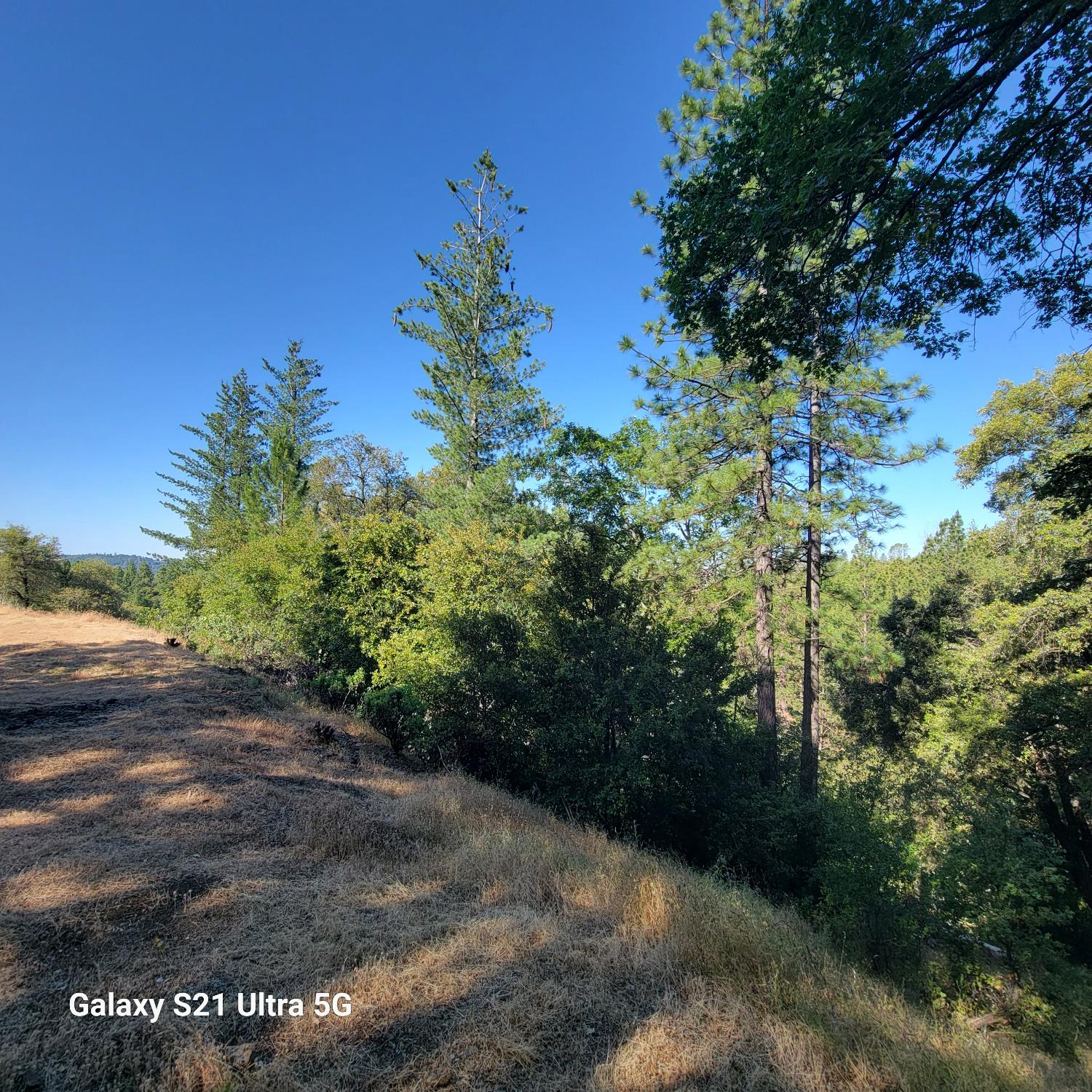 Wildlife Trail, Fiddletown, California image 4