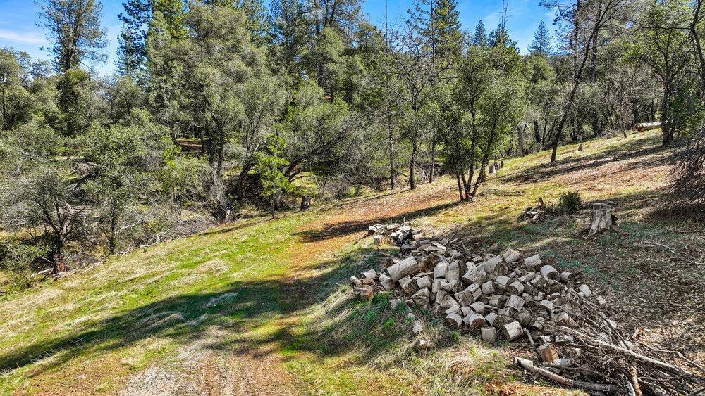 Tuolumne Road, Tuolumne, California image 24
