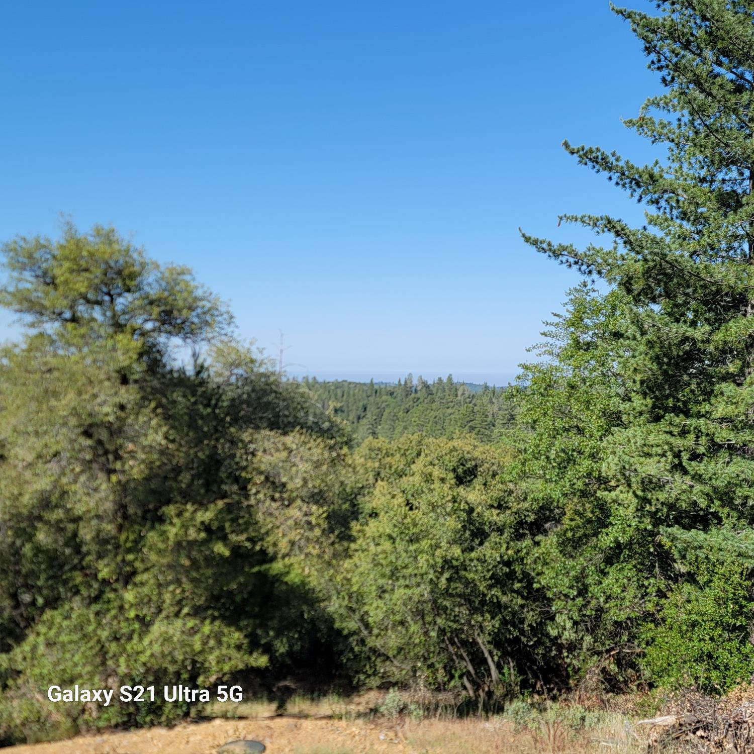 Wildlife Trail, Fiddletown, California image 5