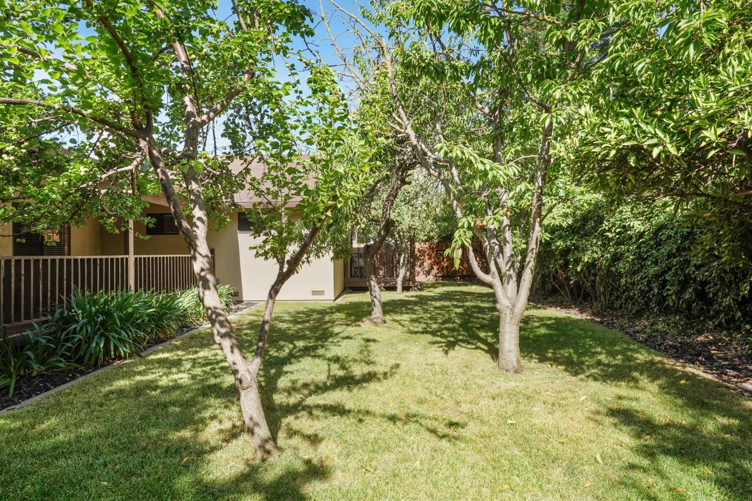 Detail Gallery Image 32 of 39 For 2316 Yosemite Ave, Escalon,  CA 95320 - 3 Beds | 2 Baths