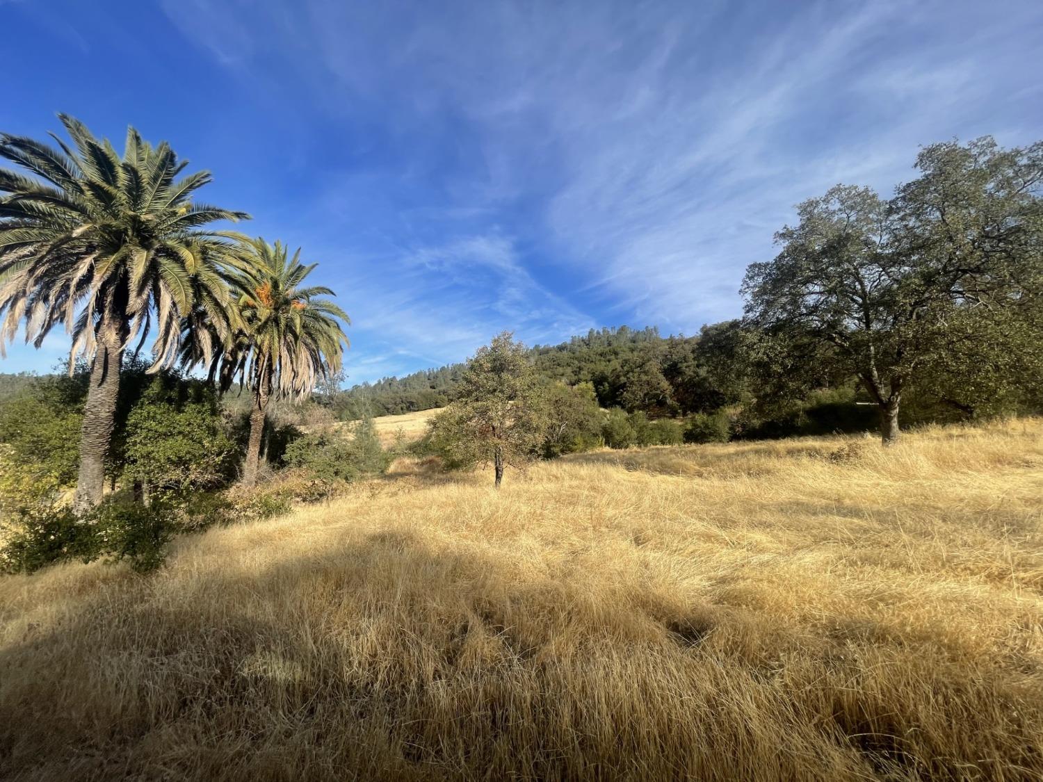 Pleasant Valley Road, North San Juan, California image 2