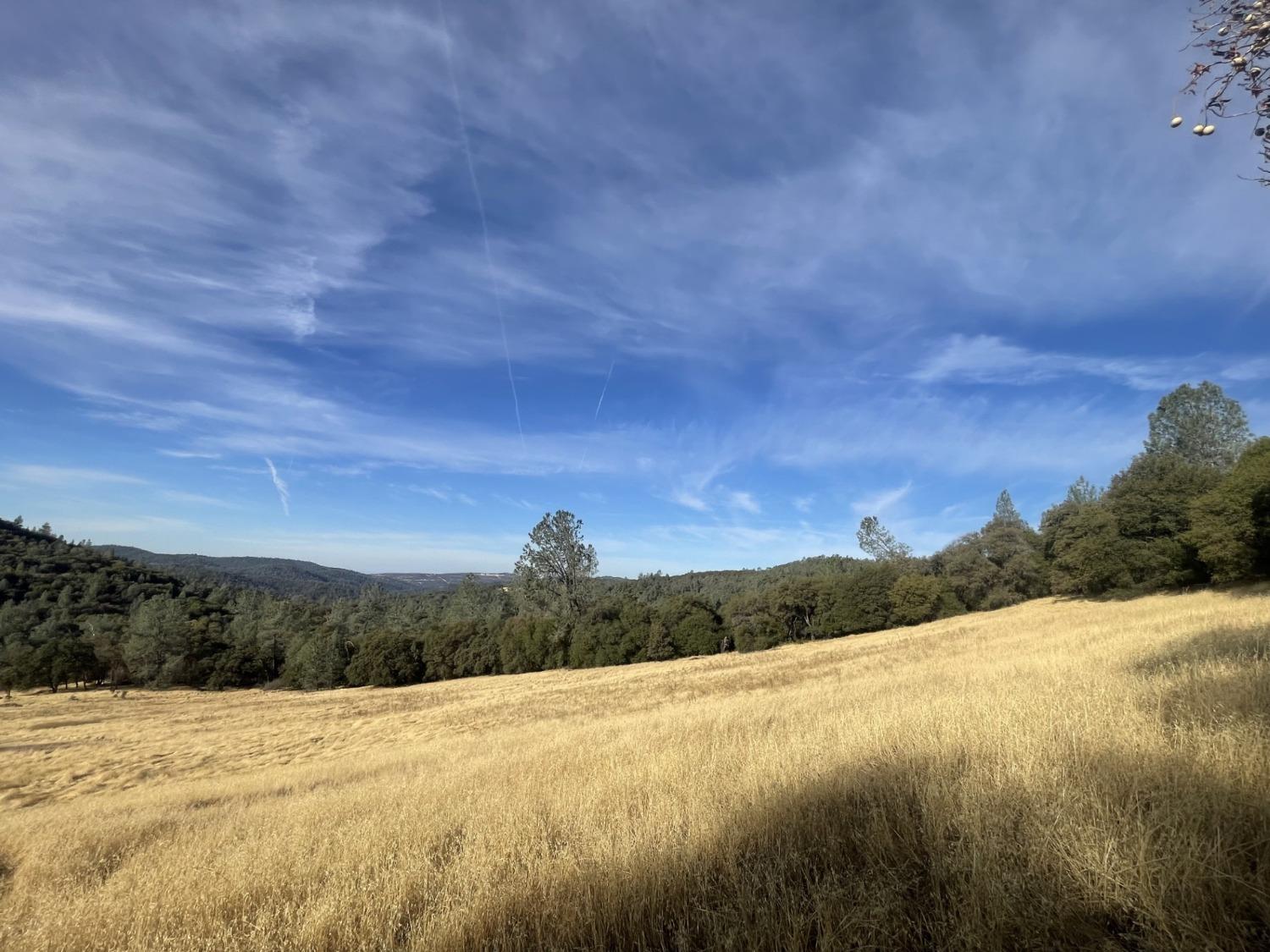 Pleasant Valley Road, North San Juan, California image 11