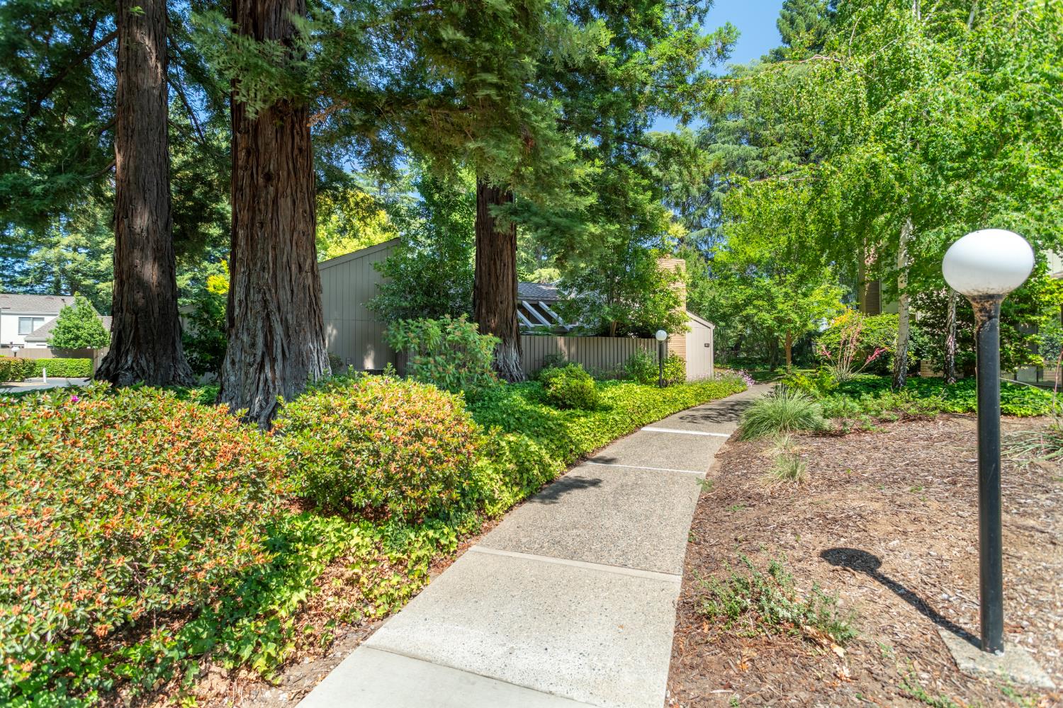 Dunbarton Circle, Sacramento, California image 38