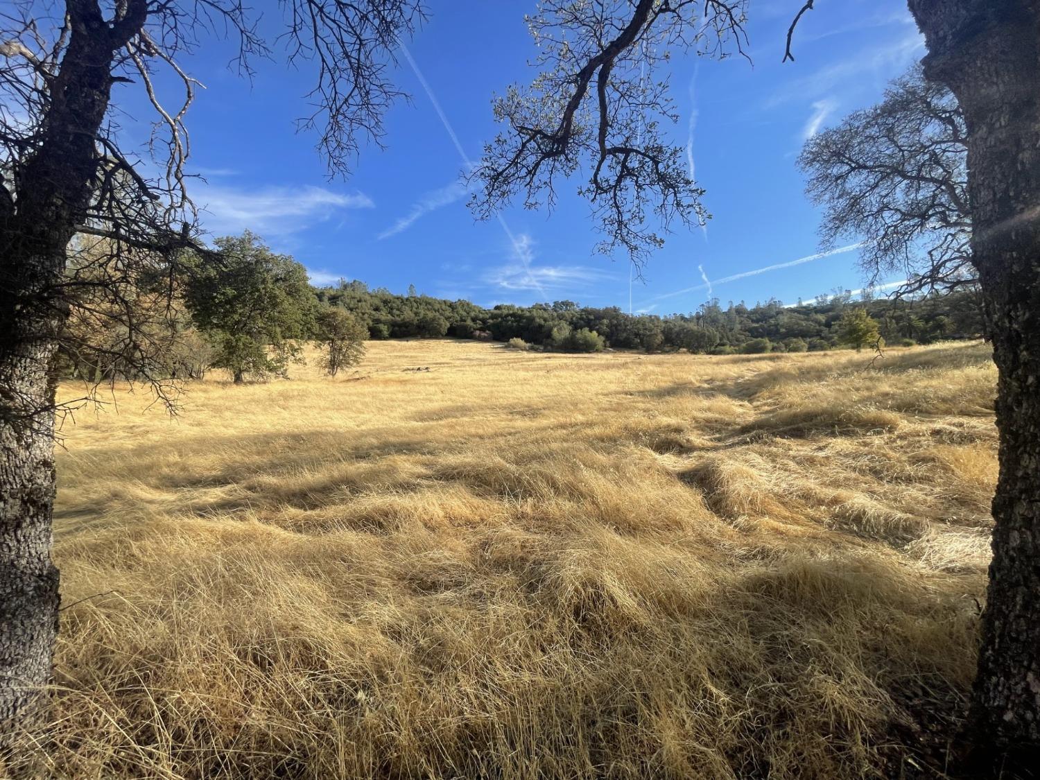 Pleasant Valley Road, North San Juan, California image 4
