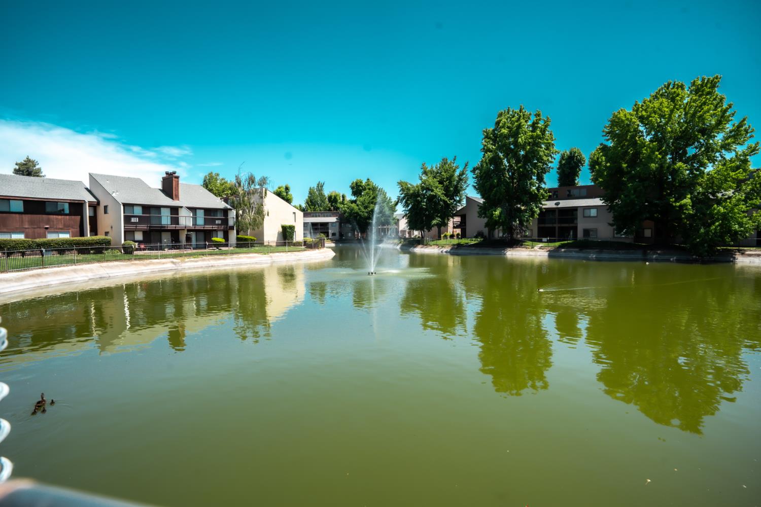 Niagra Street #273, Turlock, California image 15