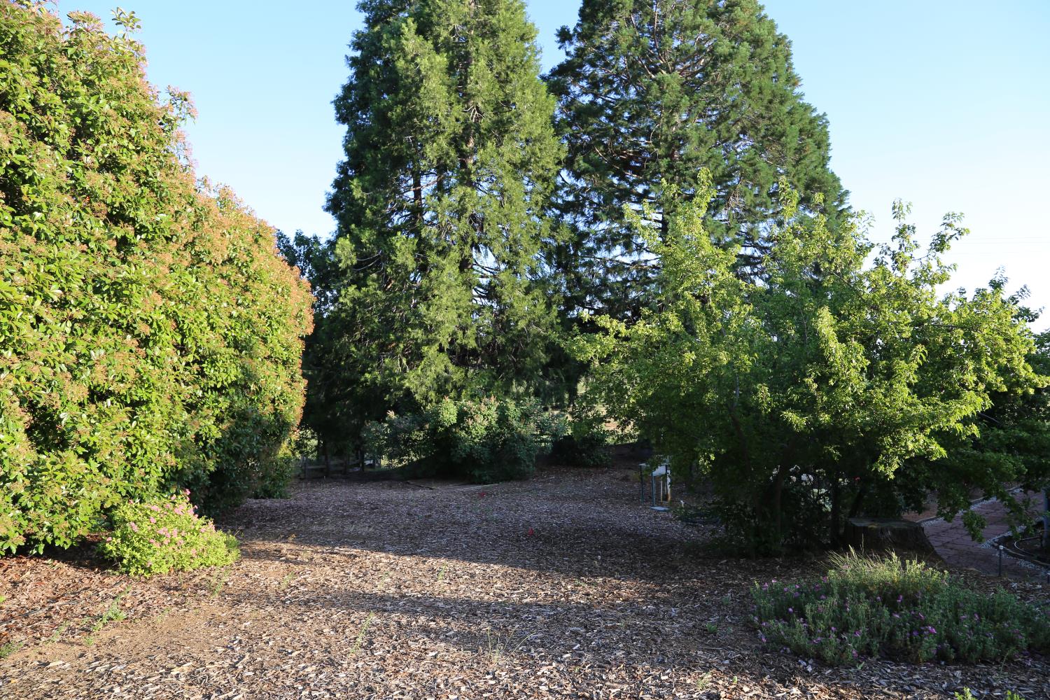 Detail Gallery Image 40 of 78 For 2300 Larsen Dr, Camino,  CA 95709 - 4 Beds | 2 Baths