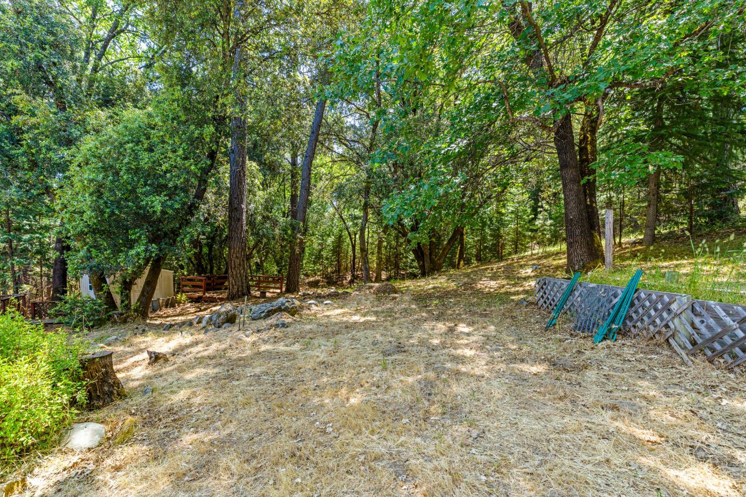 Snows Road, Placerville, California image 34