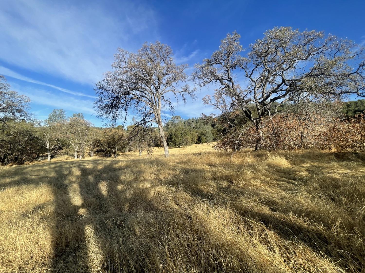 Pleasant Valley Road, North San Juan, California image 9