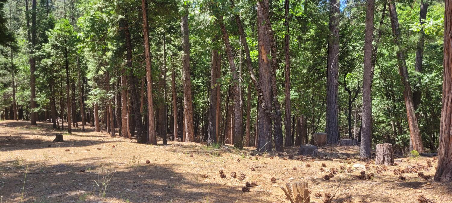 Sierra Springs Drive, Pollock Pines, California image 1