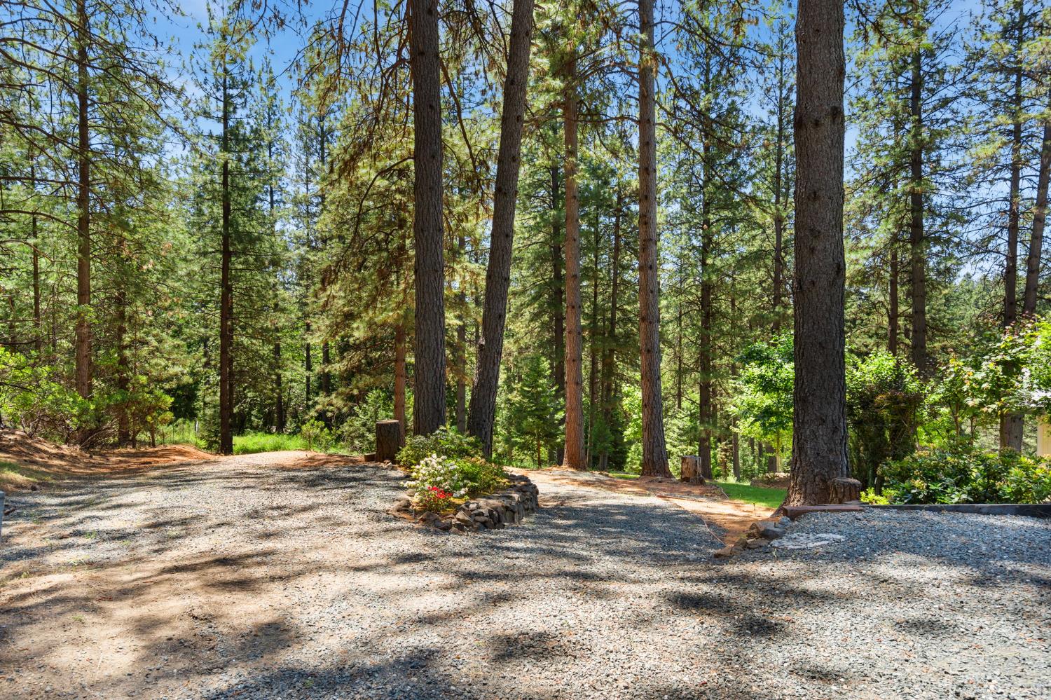 Del Vista Court, Grass Valley, California image 29