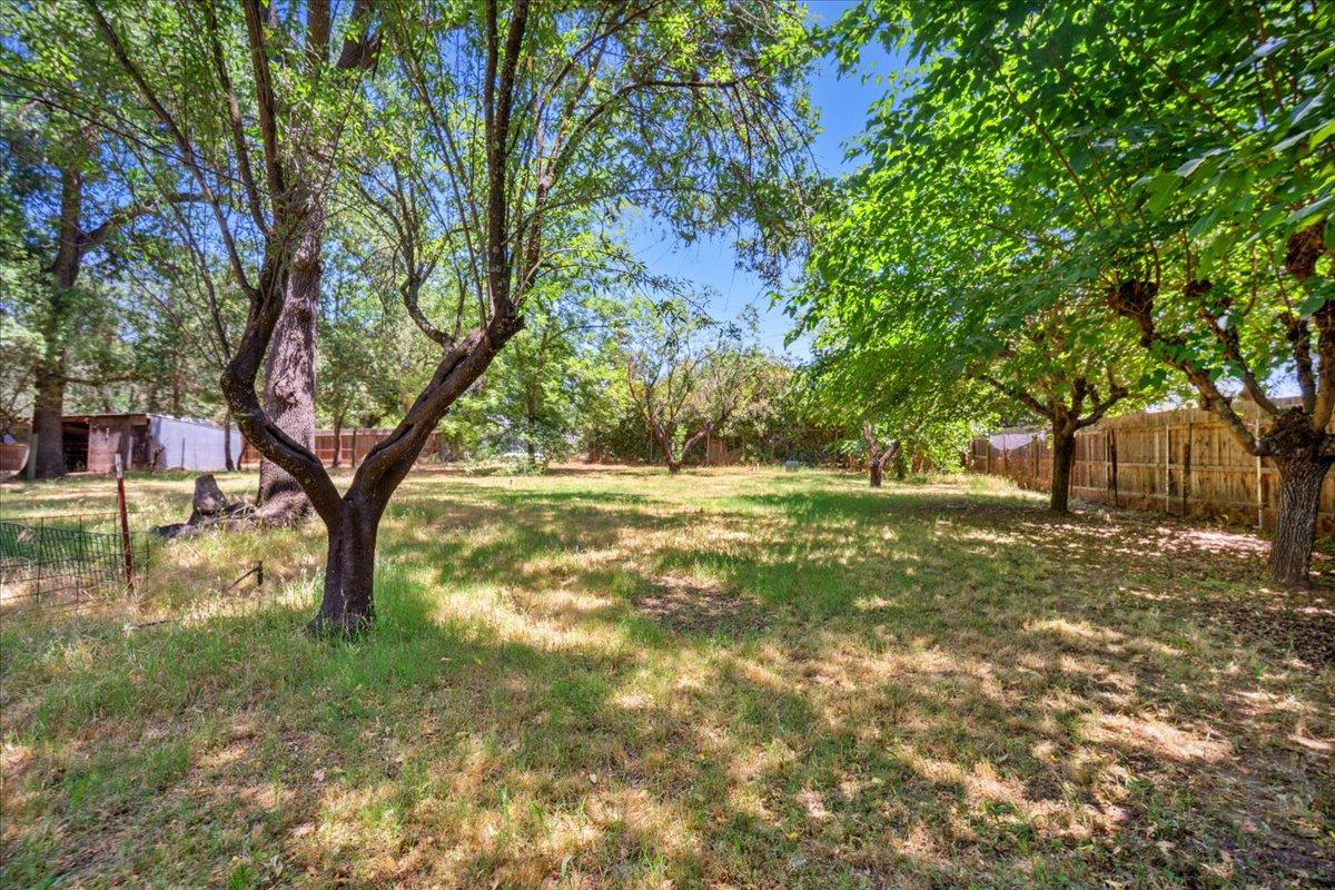 Clayton Lane, Loomis, California image 9