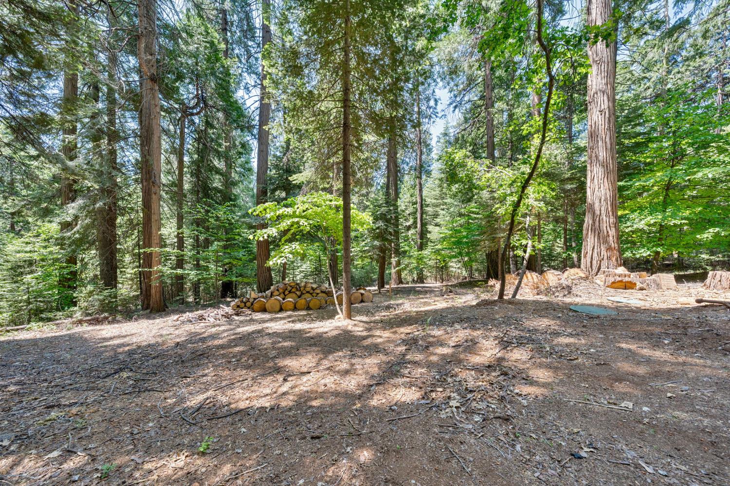 Sly Park Road, Pollock Pines, California image 35
