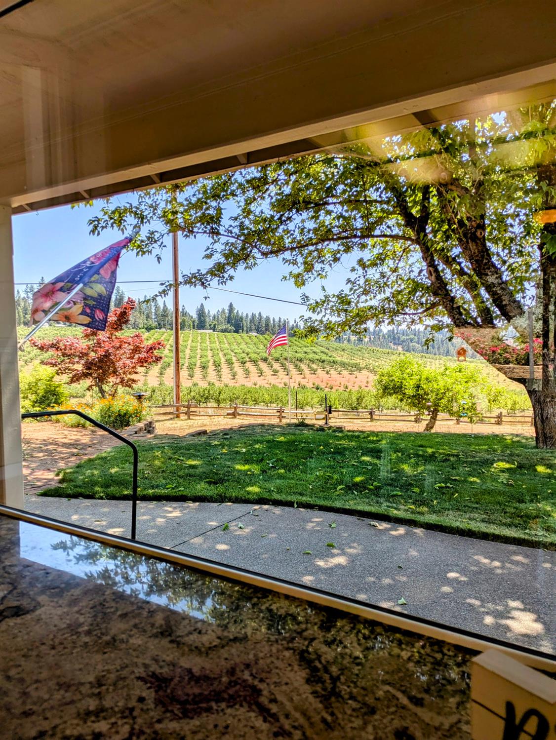 Detail Gallery Image 8 of 78 For 2300 Larsen Dr, Camino,  CA 95709 - 4 Beds | 2 Baths