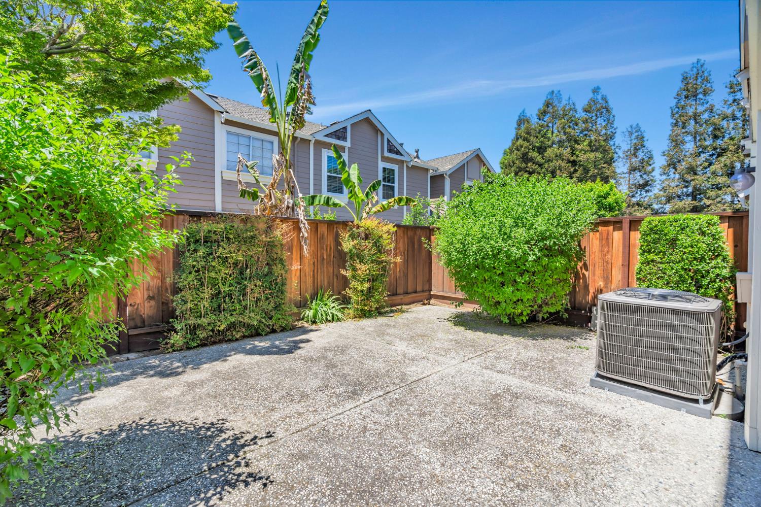 Macaw Way, San Jose, California image 23
