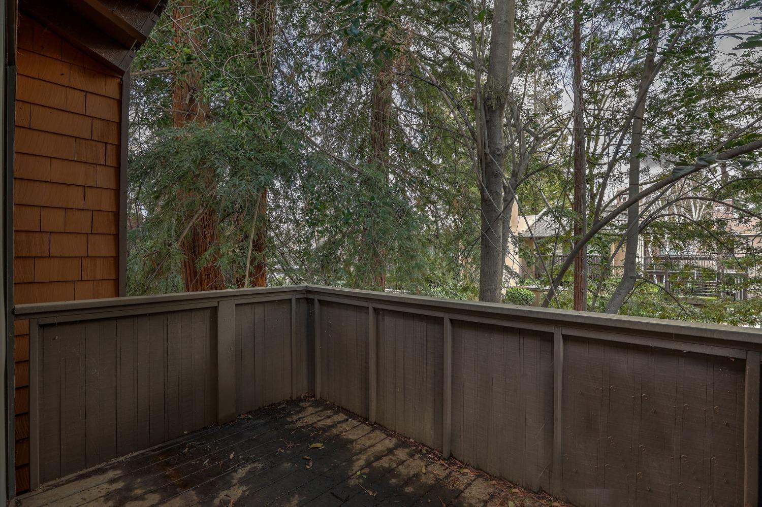 Photo #12: 225071590 Listing: Photo #12