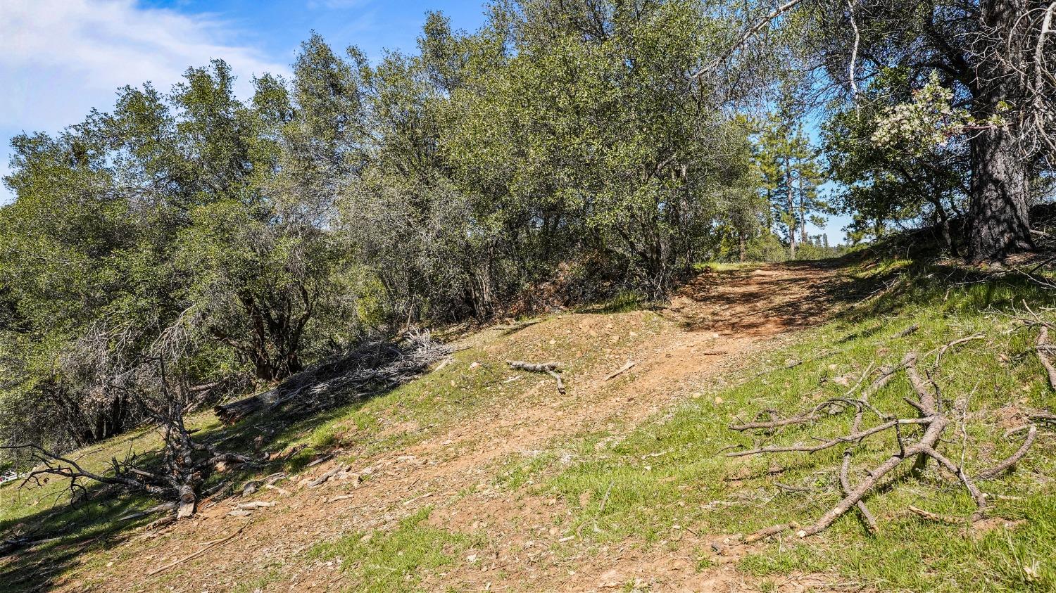 Tuolumne Road, Tuolumne, California image 14