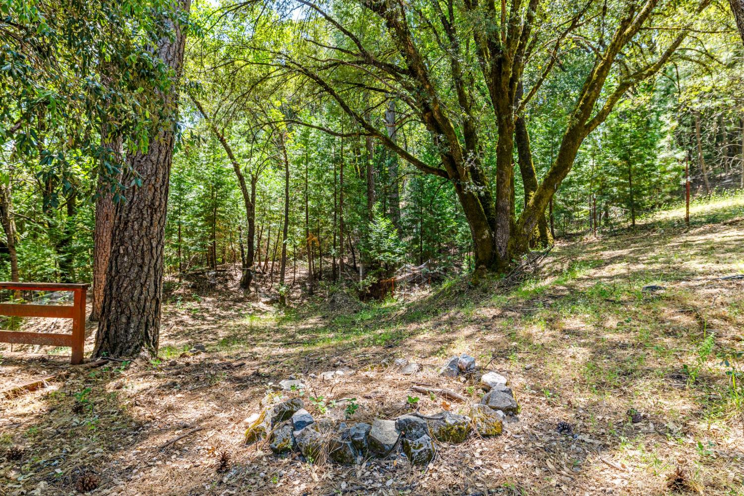 Snows Road, Placerville, California image 30