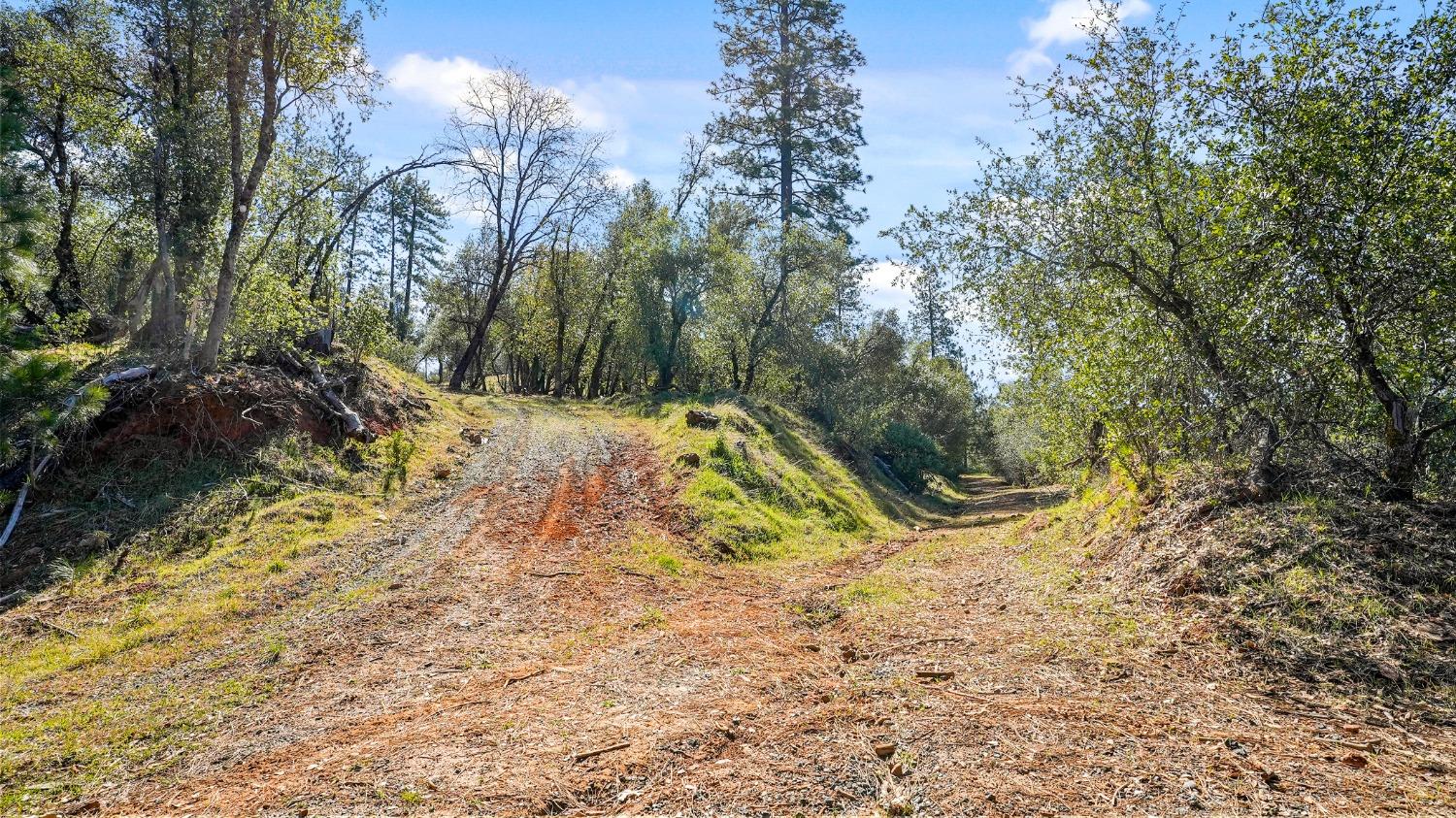 Tuolumne Road, Tuolumne, California image 9