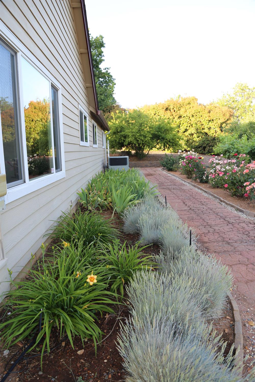 Detail Gallery Image 44 of 78 For 2300 Larsen Dr, Camino,  CA 95709 - 4 Beds | 2 Baths