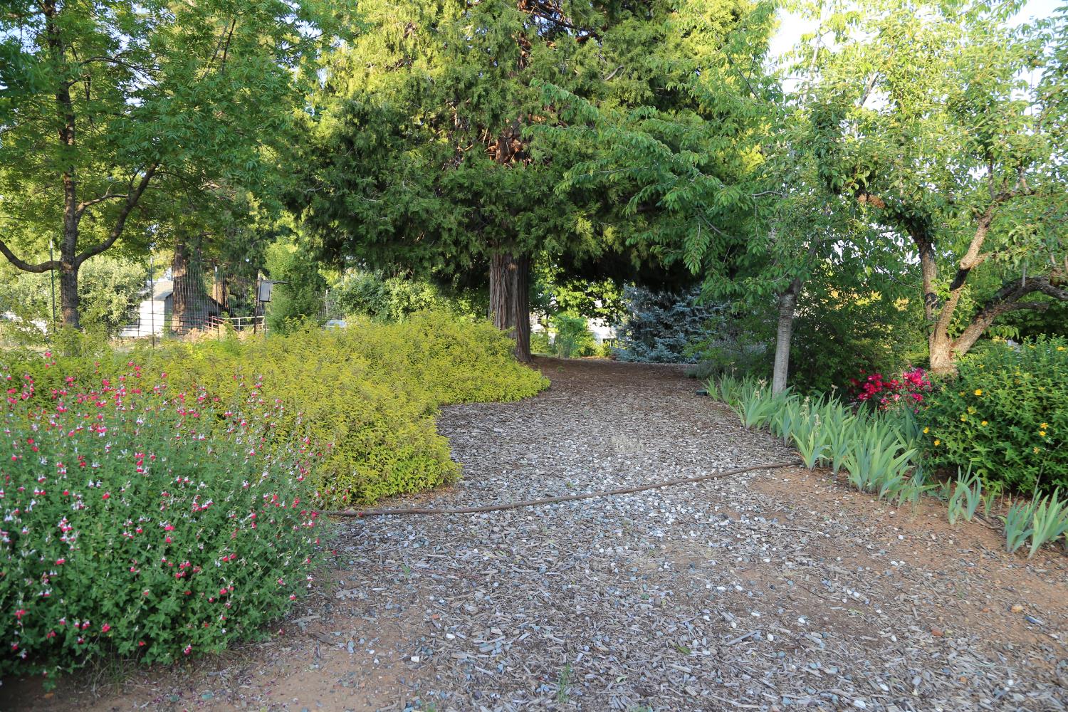Detail Gallery Image 59 of 78 For 2300 Larsen Dr, Camino,  CA 95709 - 4 Beds | 2 Baths