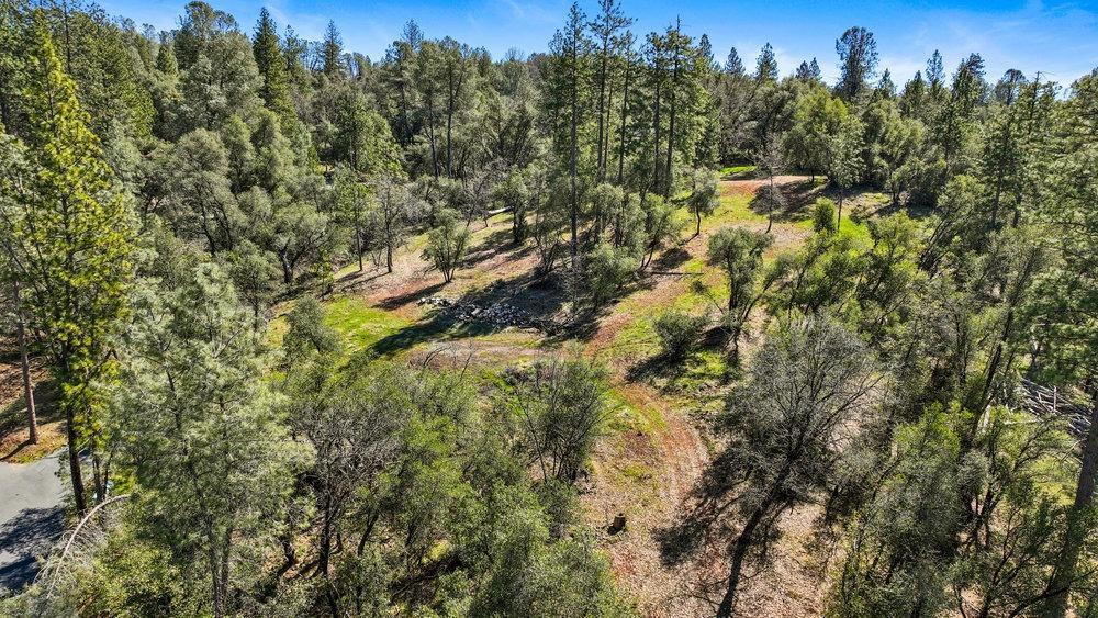 Tuolumne Road, Tuolumne, California image 22