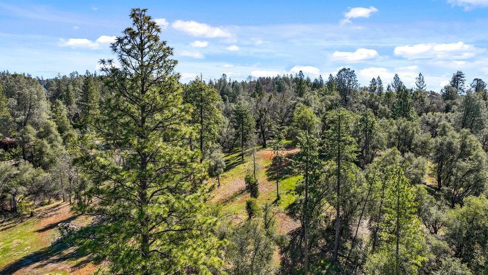 Tuolumne Road, Tuolumne, California image 20