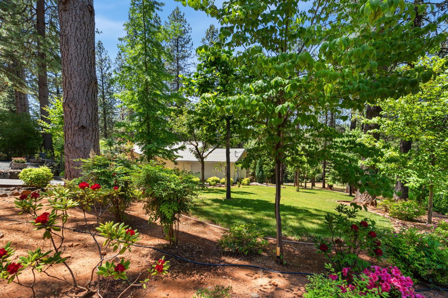 Del Vista Court, Grass Valley, California image 32