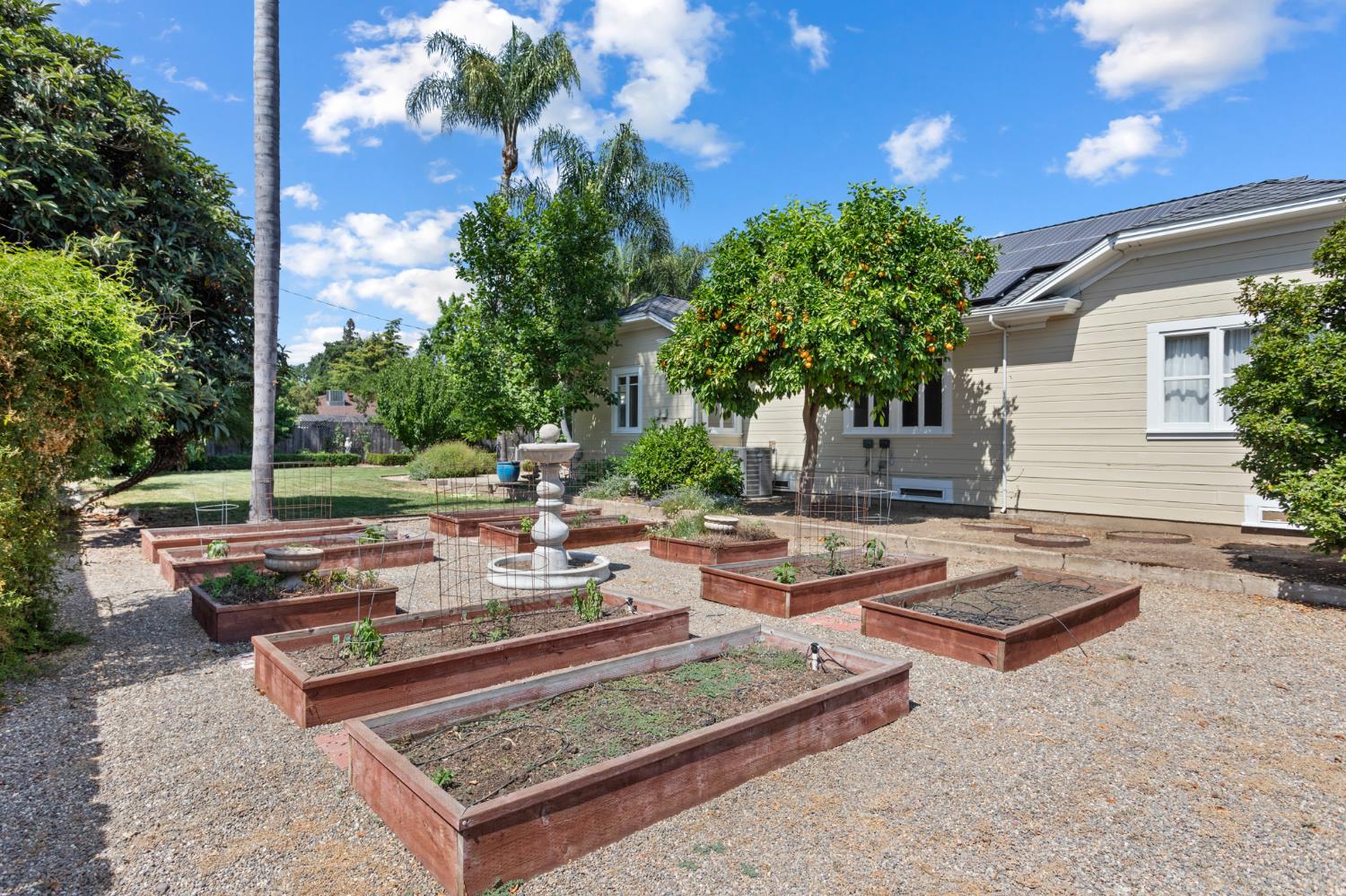 Foppiano Lane, Stockton, California image 33