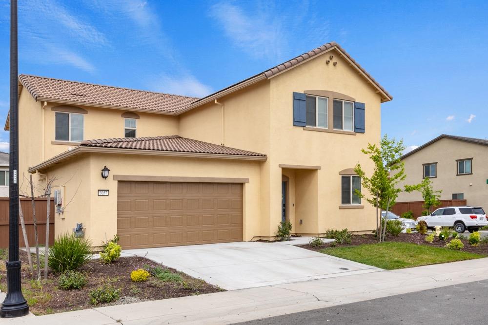 Newfoundland Drive, Roseville, California image 3