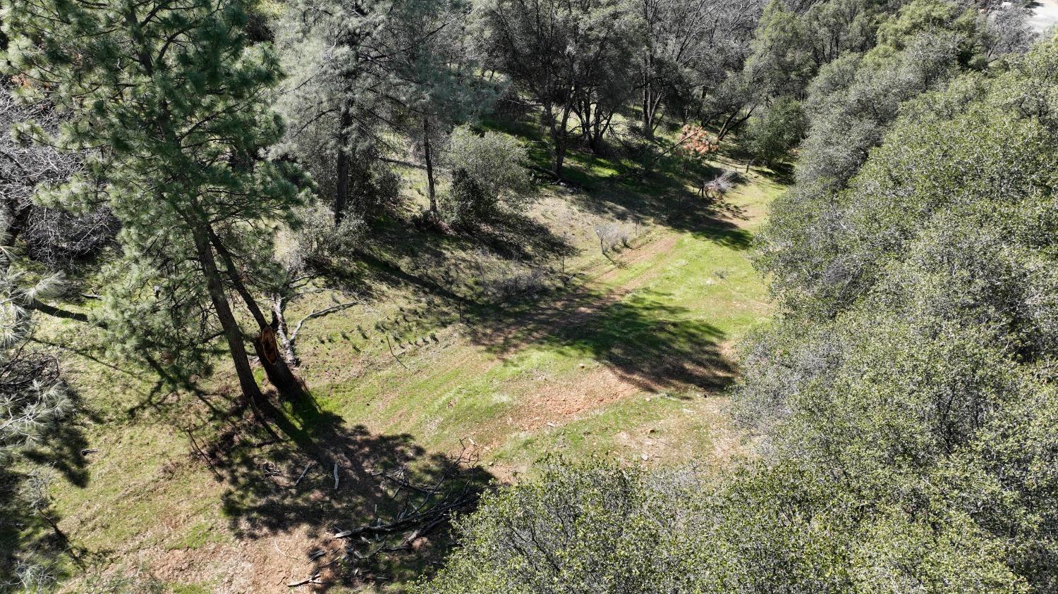 Tuolumne Road, Tuolumne, California image 10