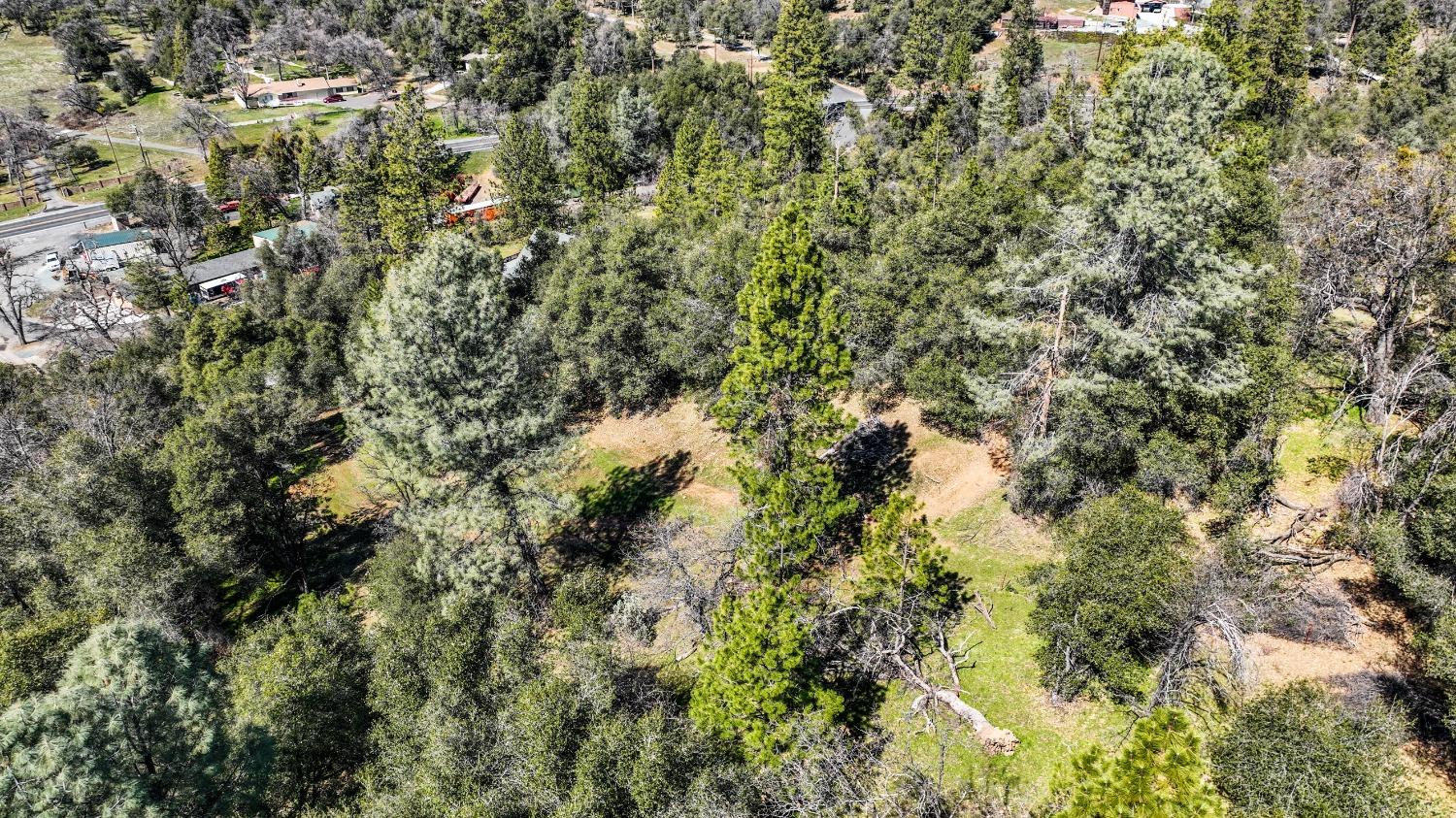 Tuolumne Road, Tuolumne, California image 23