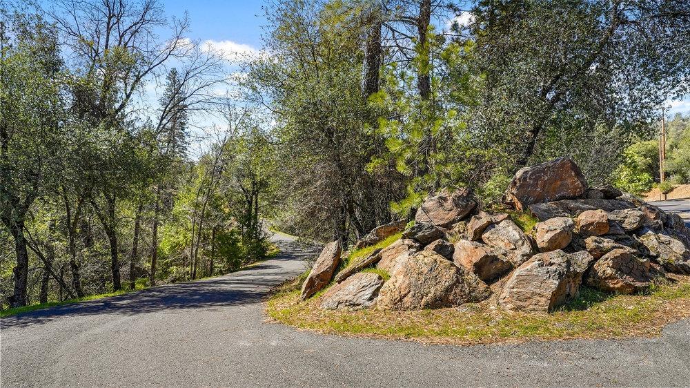 Tuolumne Road, Tuolumne, California image 7