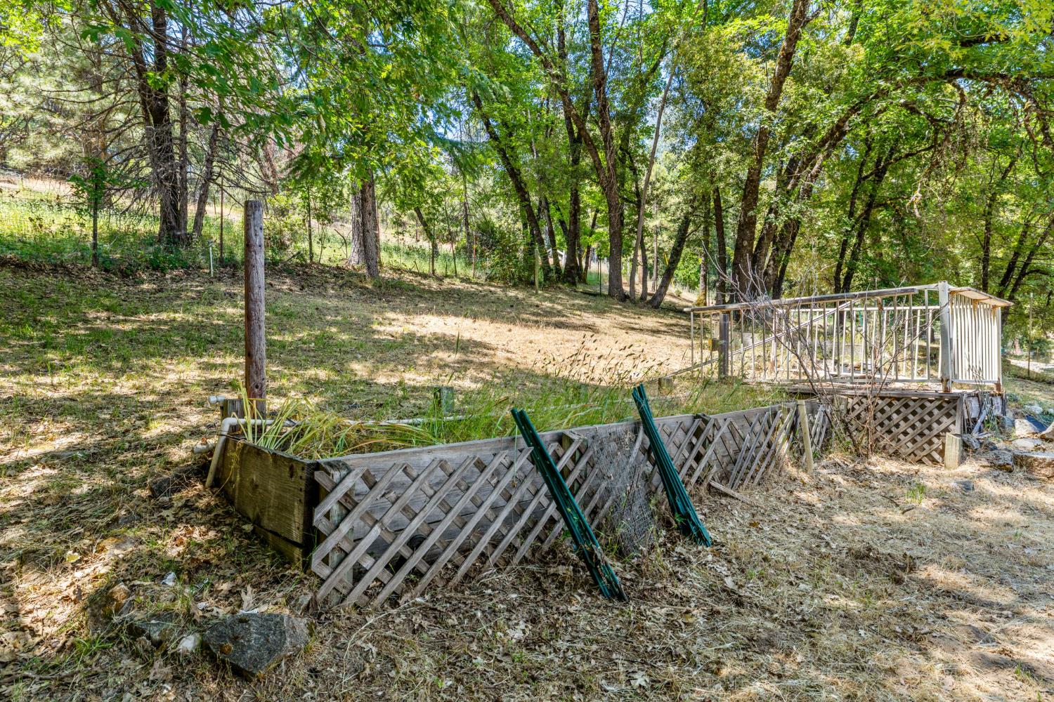 Snows Road, Placerville, California image 31