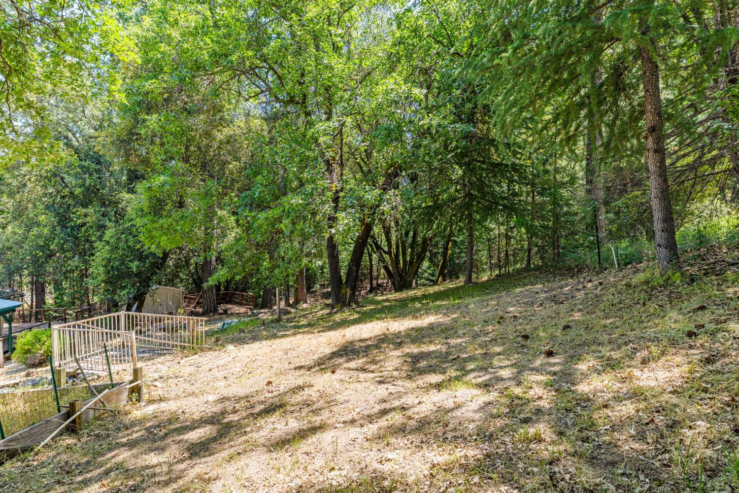 Snows Road, Placerville, California image 32